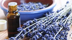 How to Use Essential Oils Safely by Mama Natural